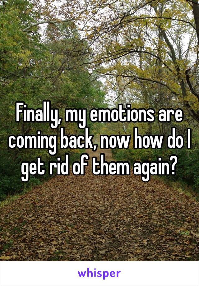 Finally, my emotions are coming back, now how do I get rid of them again? 