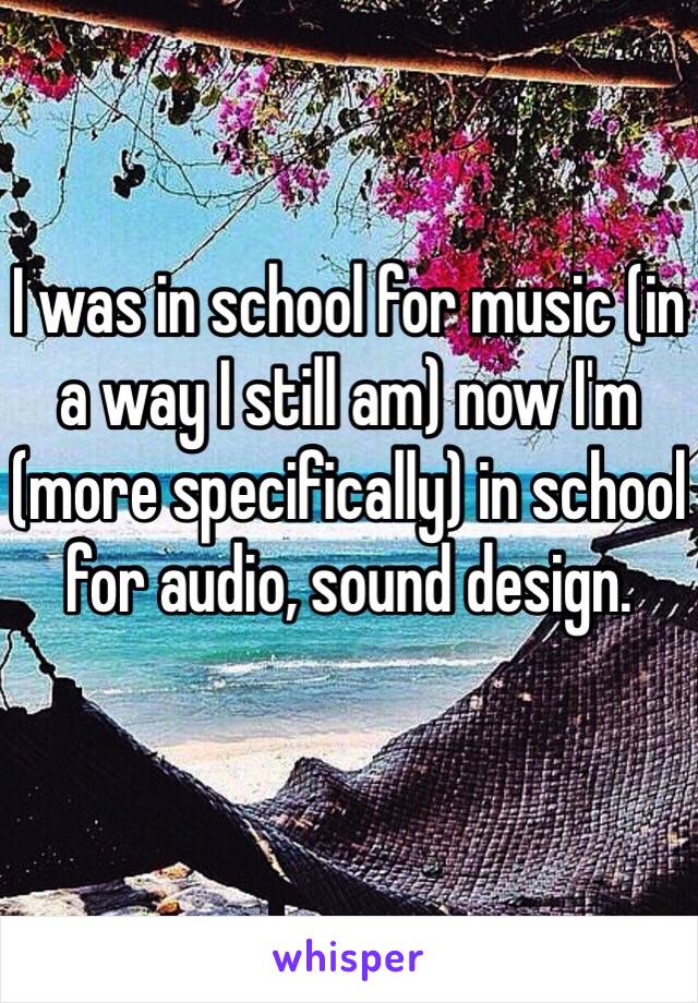 I was in school for music (in a way I still am) now I'm (more specifically) in school for audio, sound design.