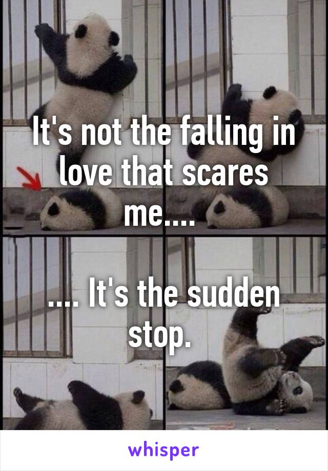 It's not the falling in love that scares me.... 

.... It's the sudden stop. 