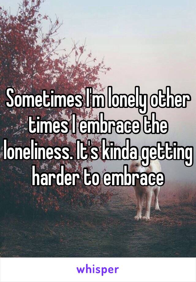 Sometimes I'm lonely other times I embrace the loneliness. It's kinda getting harder to embrace 