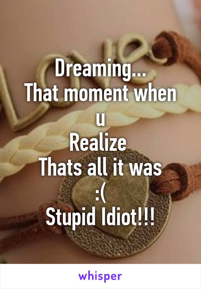 Dreaming...
That moment when u
Realize 
Thats all it was
:(
Stupid Idiot!!!