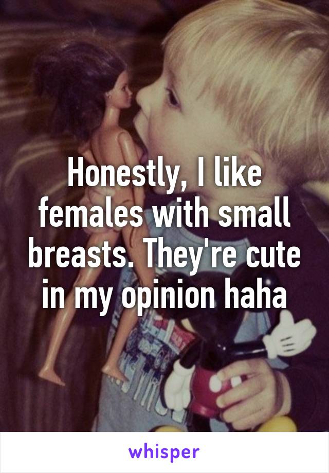 Honestly, I like females with small breasts. They're cute in my opinion haha