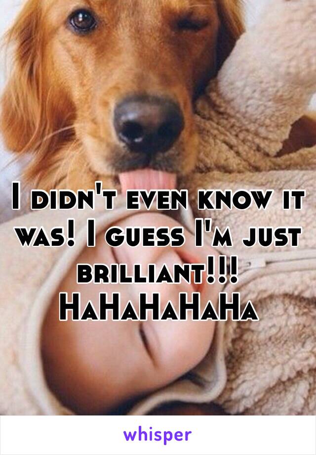 I didn't even know it was! I guess I'm just brilliant!!! HaHaHaHaHa 