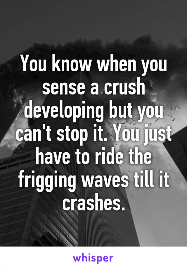 You know when you sense a crush developing but you can't stop it. You just have to ride the frigging waves till it crashes.