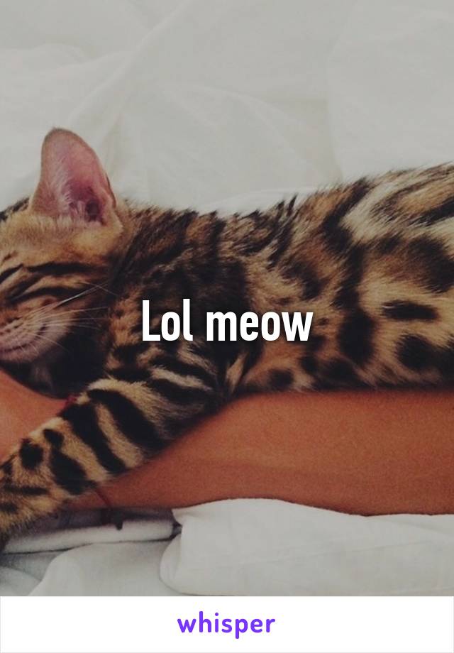 Lol meow