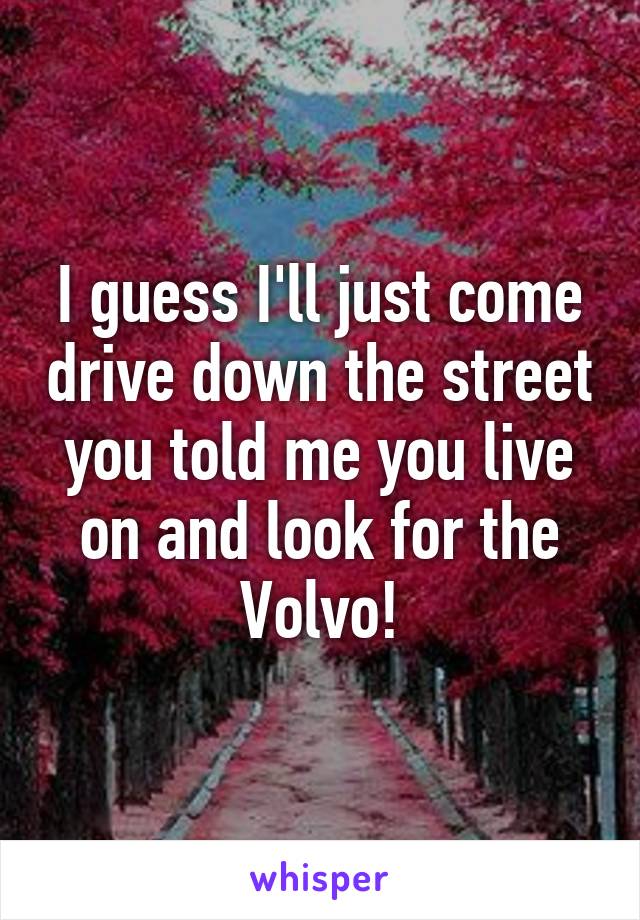 I guess I'll just come drive down the street you told me you live on and look for the Volvo!