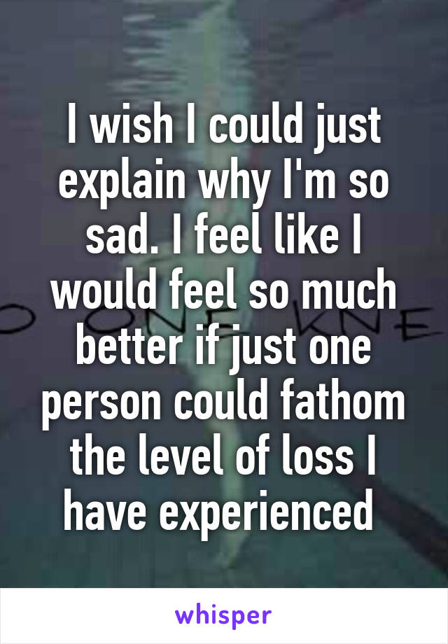 I wish I could just explain why I'm so sad. I feel like I would feel so much better if just one person could fathom the level of loss I have experienced 