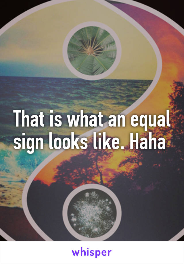 That is what an equal sign looks like. Haha 