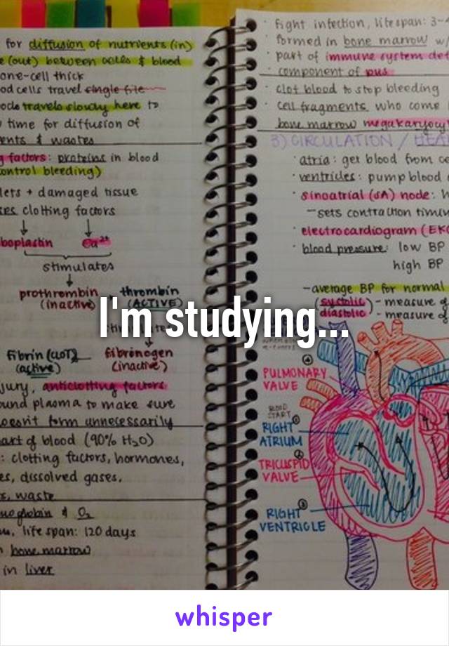 I'm studying...