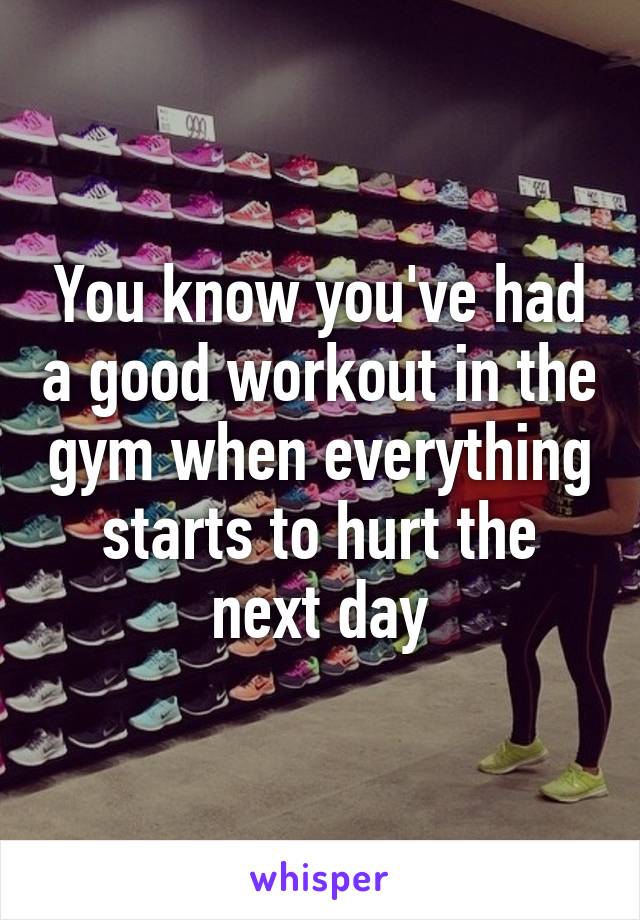 You know you've had a good workout in the gym when everything starts to hurt the next day