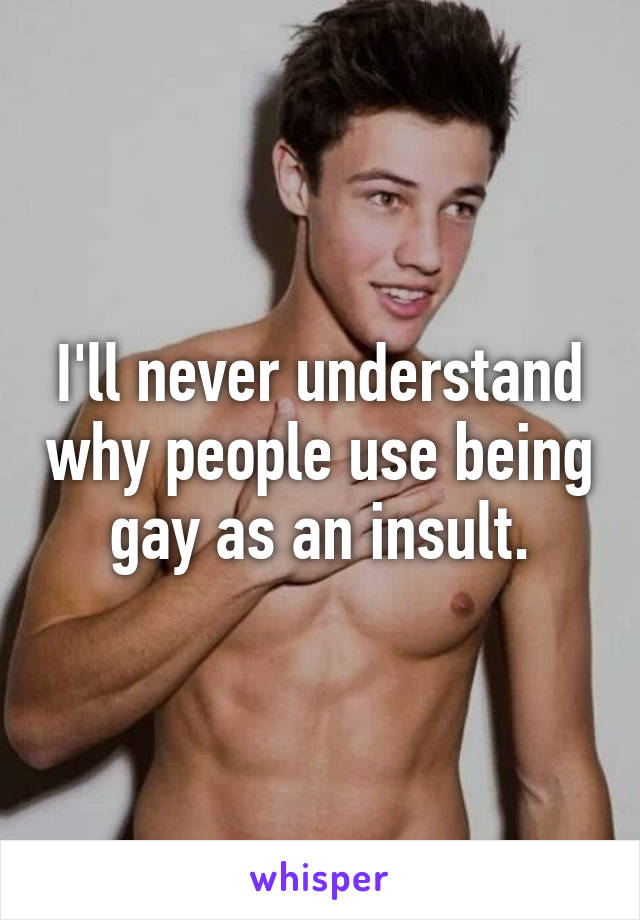 I'll never understand why people use being gay as an insult.