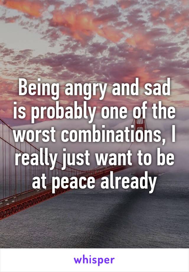 Being angry and sad is probably one of the worst combinations, I really just want to be at peace already