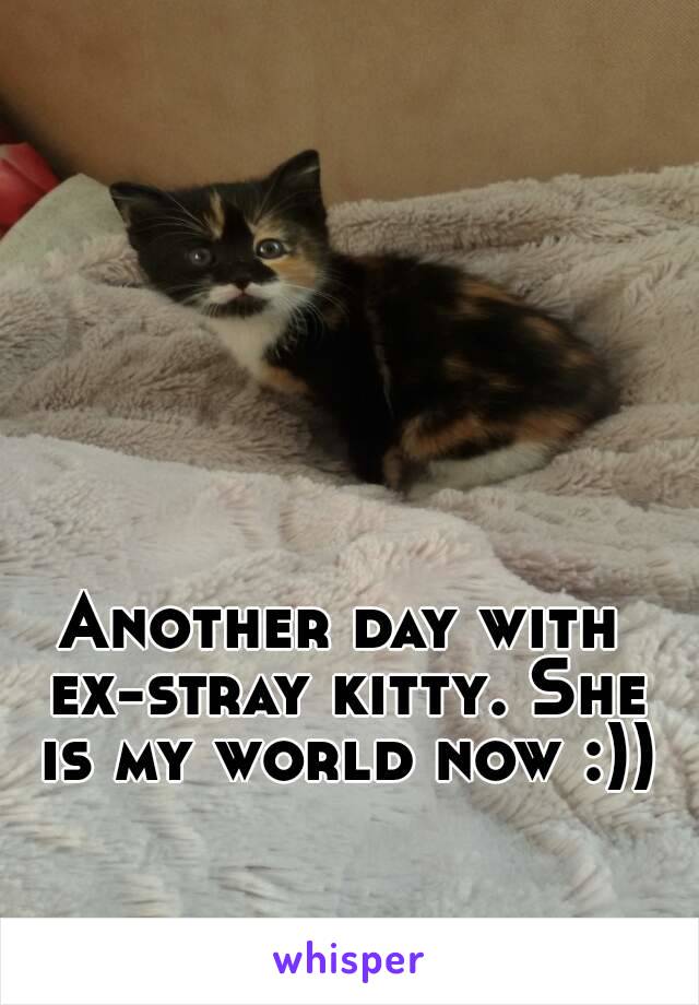 Another day with ex-stray kitty. She is my world now :))