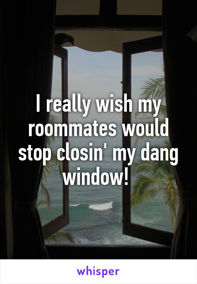 I really wish my roommates would stop closin' my dang window! 