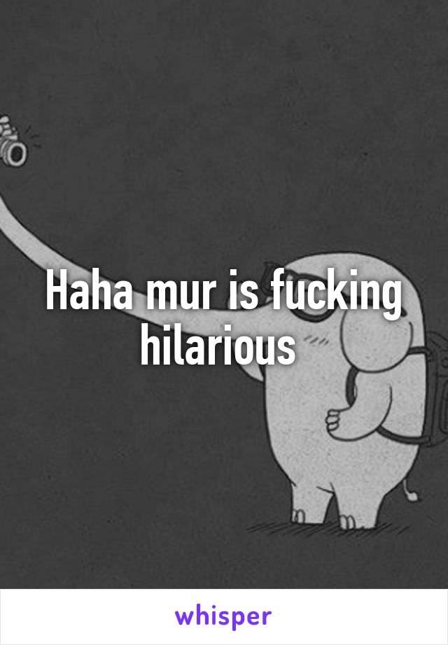 Haha mur is fucking hilarious 