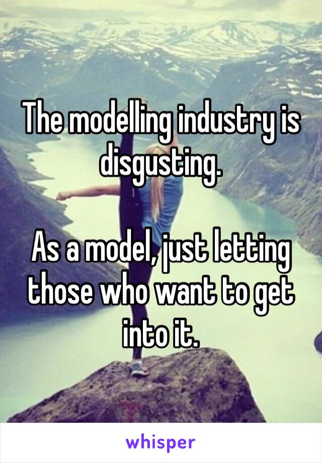 The modelling industry is disgusting.

As a model, just letting those who want to get into it.