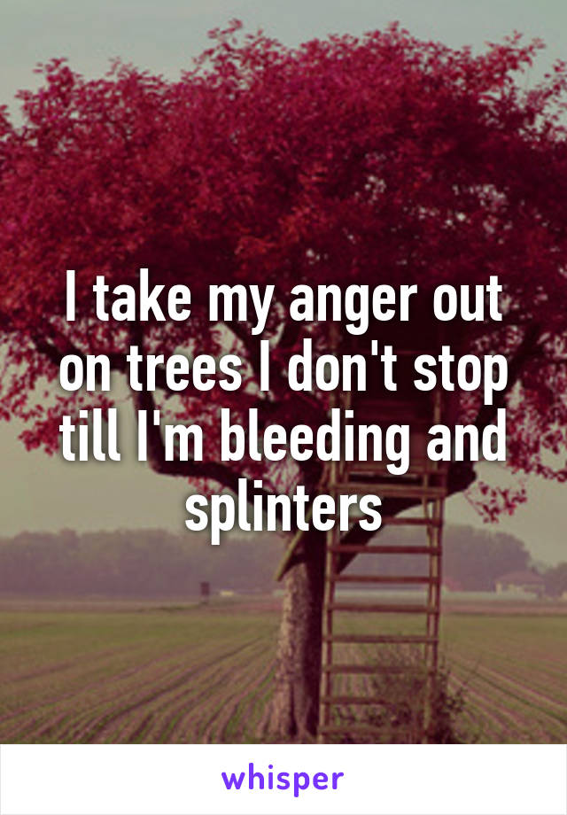 I take my anger out on trees I don't stop till I'm bleeding and splinters