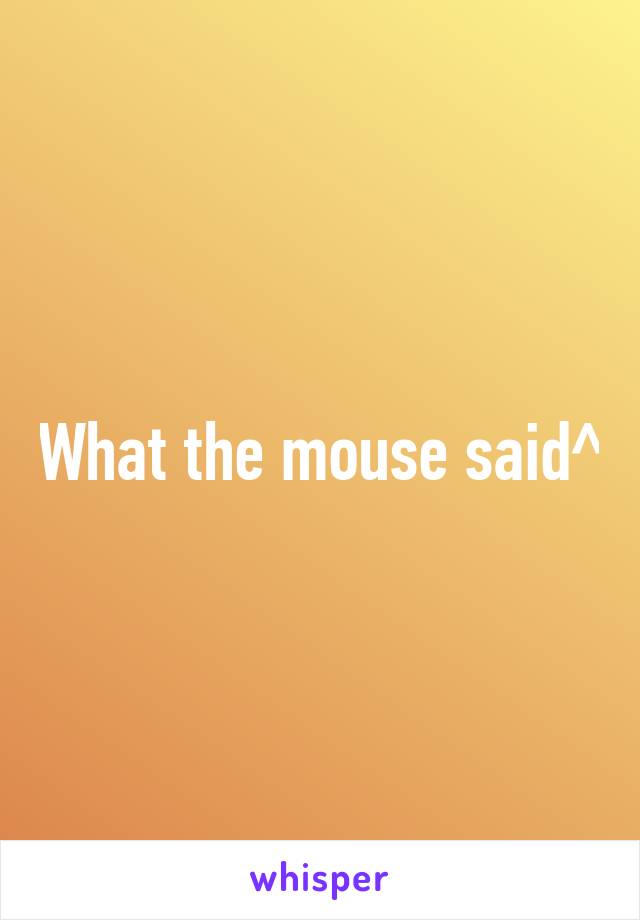 What the mouse said^