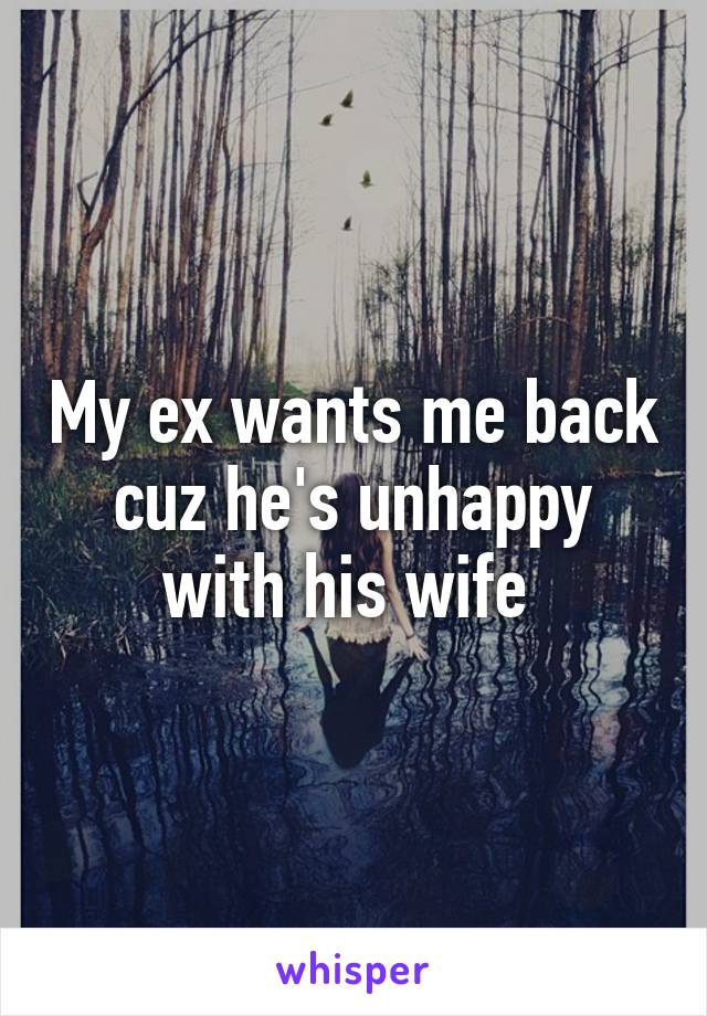 My ex wants me back cuz he's unhappy with his wife 