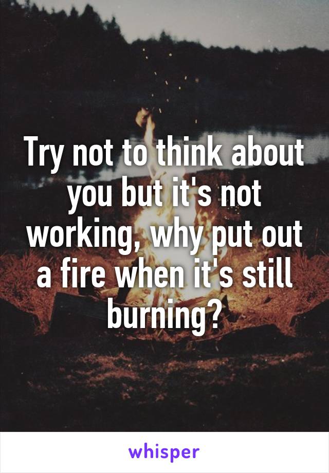 Try not to think about you but it's not working, why put out a fire when it's still burning?