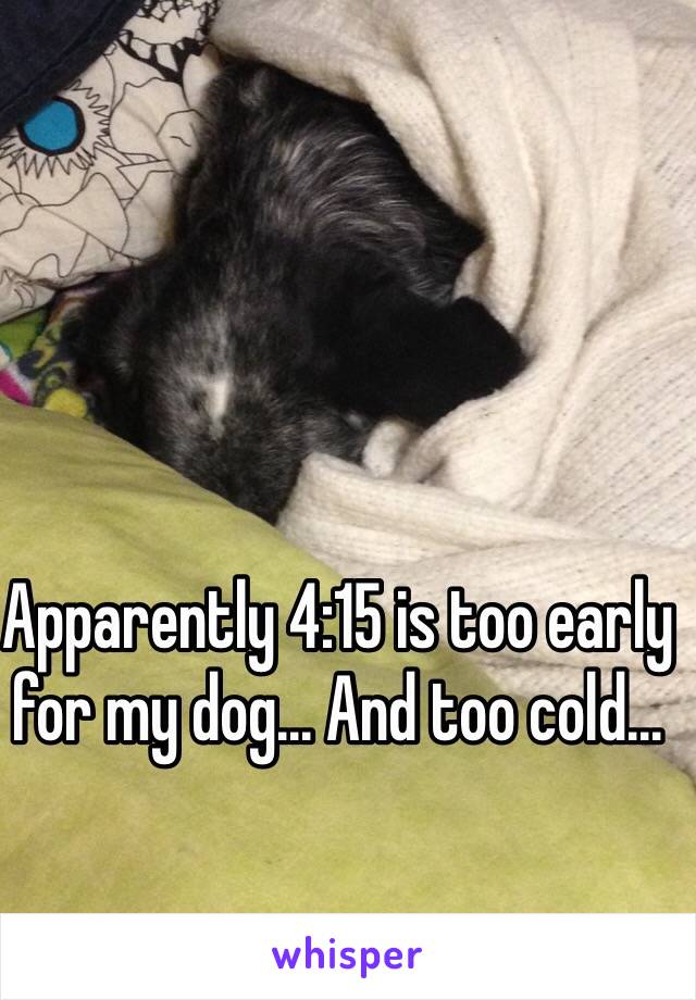 Apparently 4:15 is too early for my dog... And too cold...