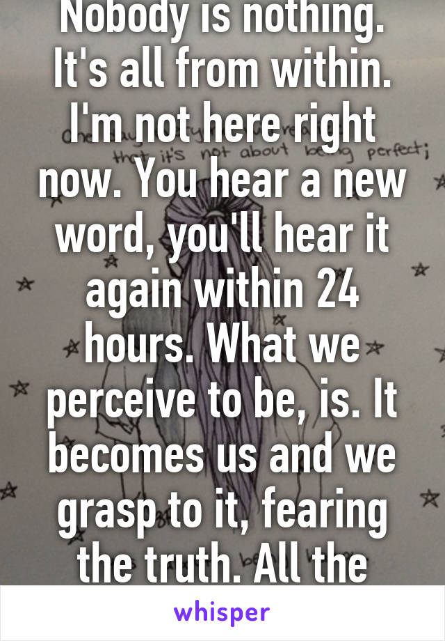 Everything is a lie. Nobody is nothing. It's all from within. I'm not here right now. You hear a new word, you'll hear it again within 24 hours. What we perceive to be, is. It becomes us and we grasp to it, fearing the truth. All the while WE create the truths we believe. 