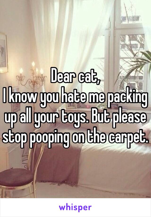 Dear cat,
I know you hate me packing up all your toys. But please stop pooping on the carpet. 