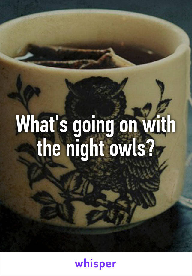 What's going on with the night owls?