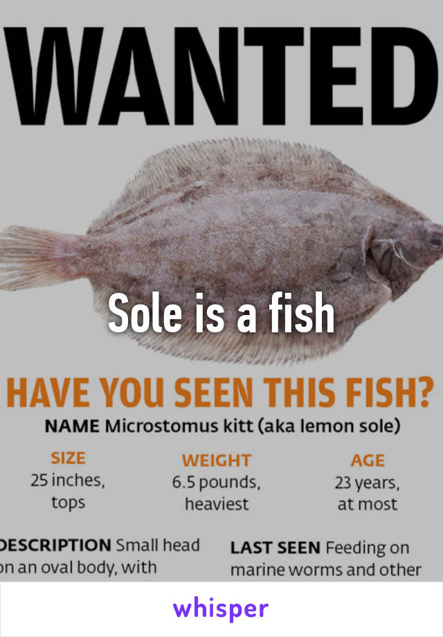 Sole is a fish