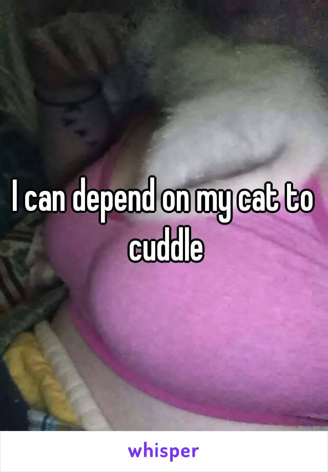 I can depend on my cat to cuddle