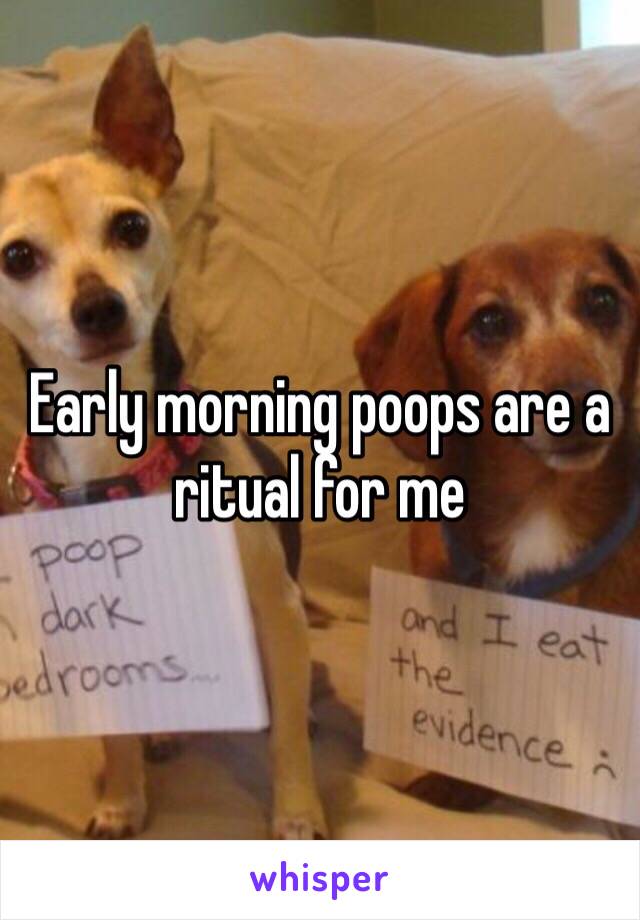 Early morning poops are a ritual for me