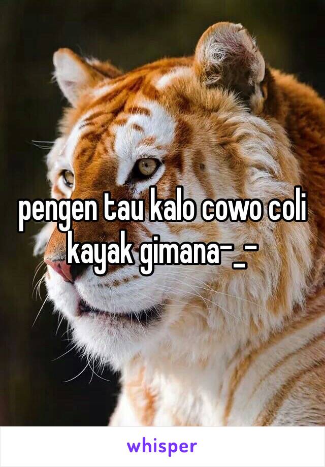 pengen tau kalo cowo coli kayak gimana-_- 