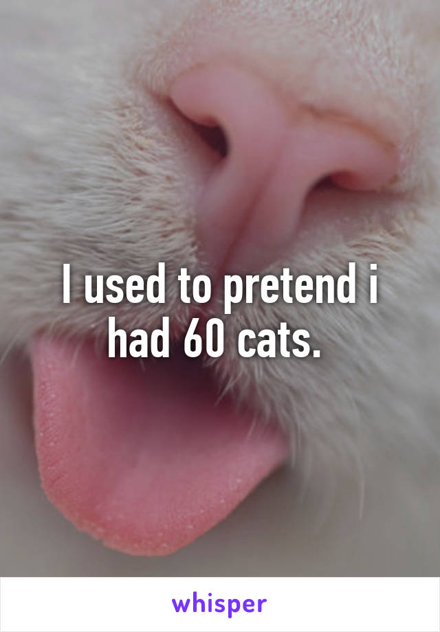 I used to pretend i had 60 cats. 