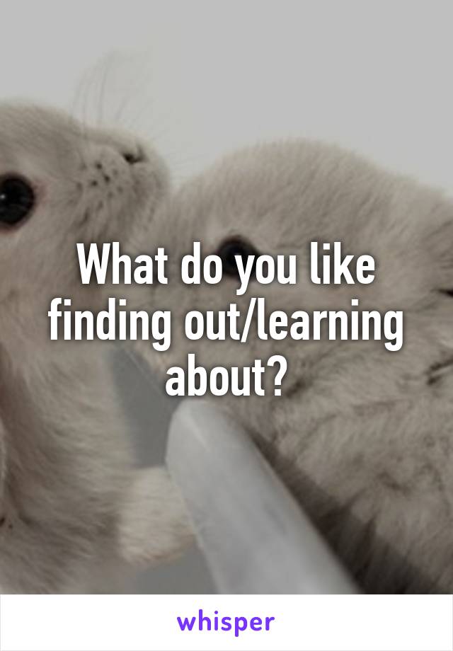 What do you like finding out/learning about?