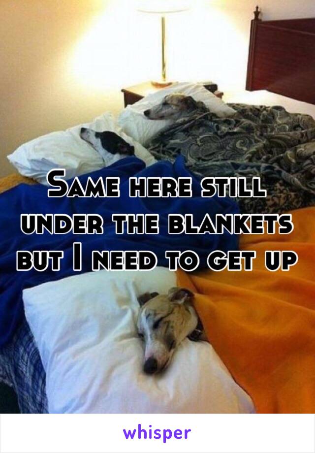 Same here still under the blankets but I need to get up 