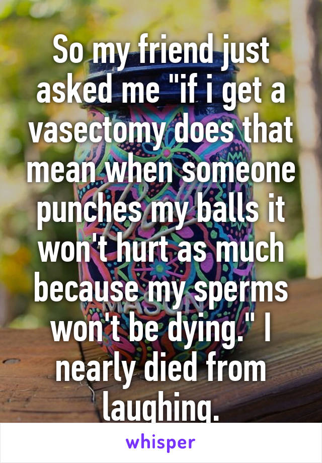 So my friend just asked me "if i get a vasectomy does that mean when someone punches my balls it won't hurt as much because my sperms won't be dying." I nearly died from laughing.