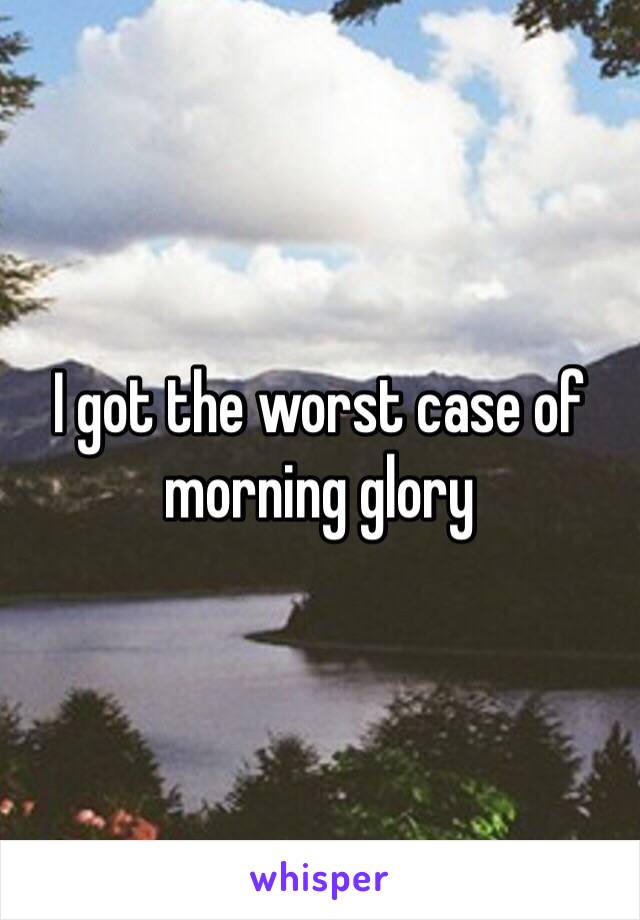 I got the worst case of morning glory