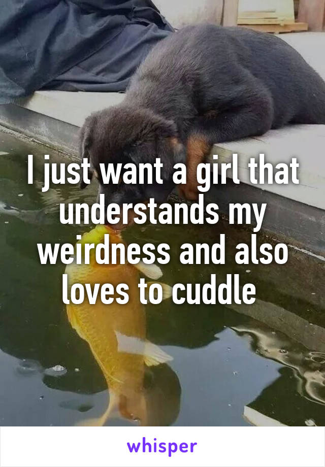 I just want a girl that understands my weirdness and also loves to cuddle 