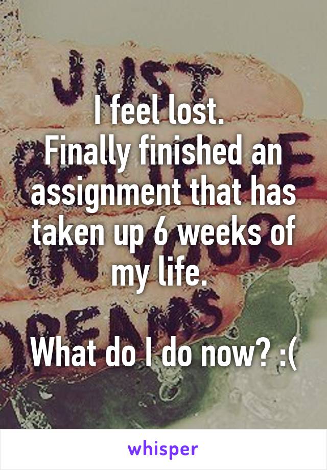 I feel lost. 
Finally finished an assignment that has taken up 6 weeks of my life. 

What do I do now? :(