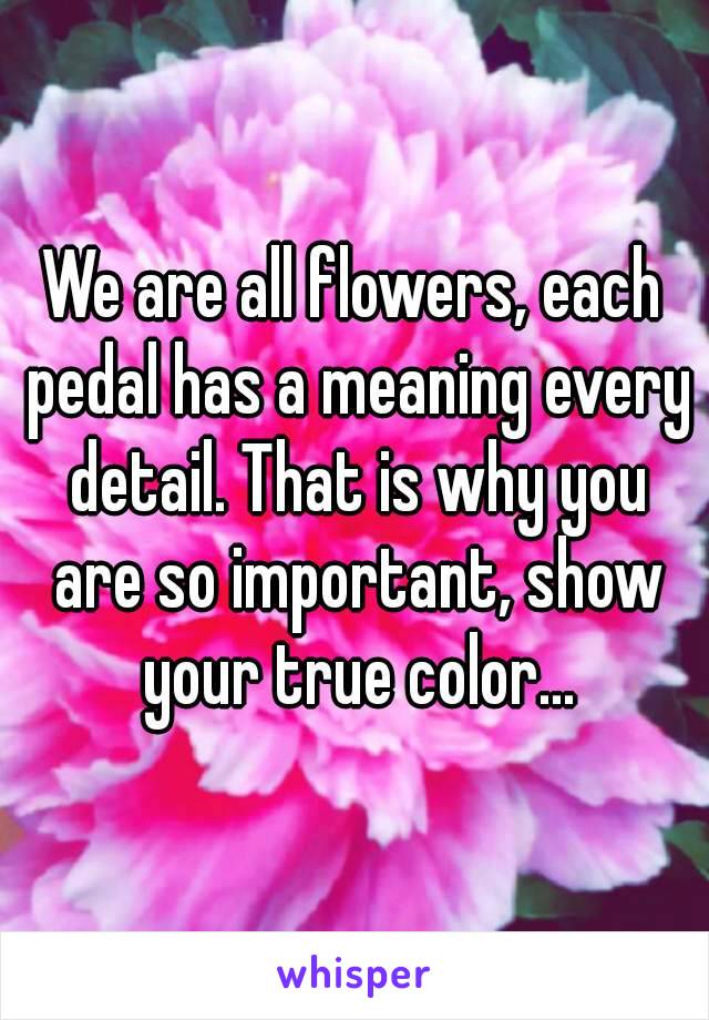 We are all flowers, each pedal has a meaning every detail. That is why you are so important, show your true color...