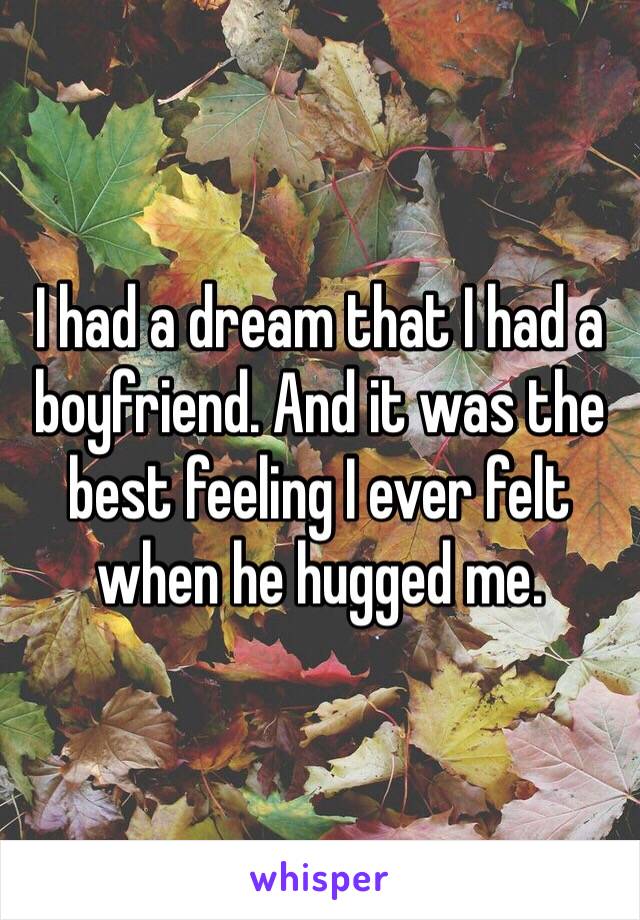 I had a dream that I had a boyfriend. And it was the best feeling I ever felt when he hugged me.