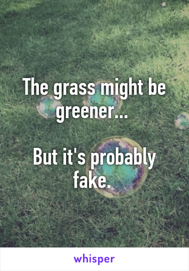 The grass might be greener... 

But it's probably fake. 