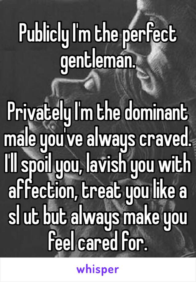 Publicly I'm the perfect gentleman. 

Privately I'm the dominant male you've always craved. I'll spoil you, lavish you with affection, treat you like a  sl ut but always make you feel cared for. 