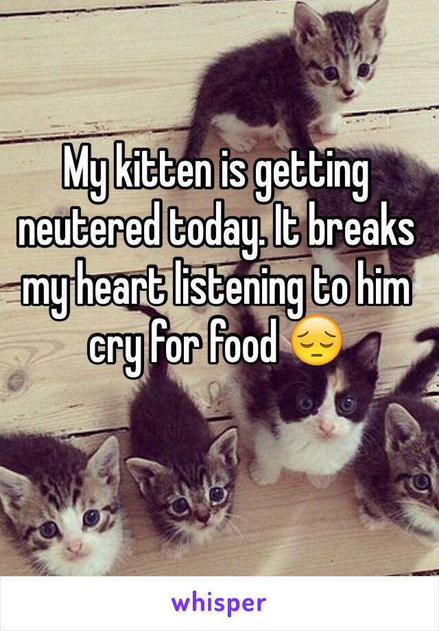 My kitten is getting neutered today. It breaks my heart listening to him cry for food 😔