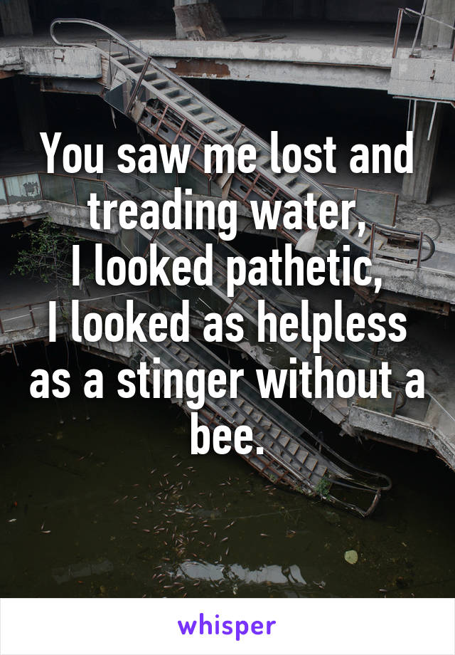 You saw me lost and treading water,
I looked pathetic,
I looked as helpless as a stinger without a bee.
