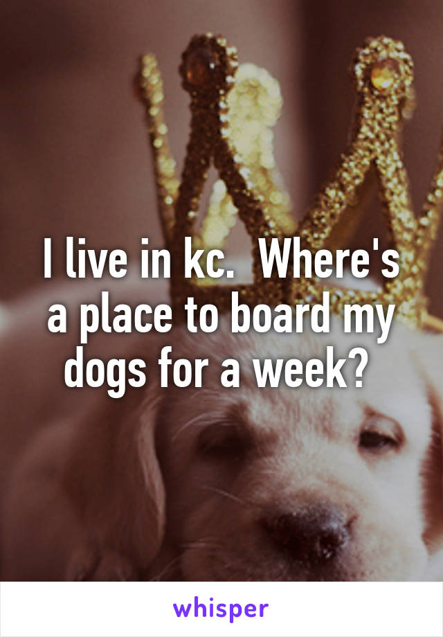 I live in kc.  Where's a place to board my dogs for a week? 