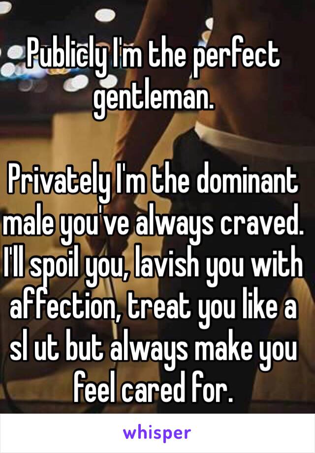 Publicly I'm the perfect gentleman. 

Privately I'm the dominant male you've always craved. I'll spoil you, lavish you with affection, treat you like a  sl ut but always make you feel cared for. 