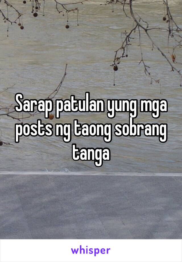 Sarap patulan yung mga posts ng taong sobrang tanga