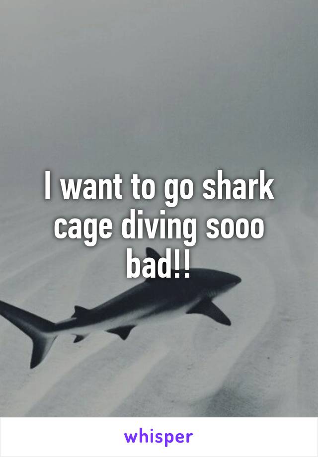 I want to go shark cage diving sooo bad!!