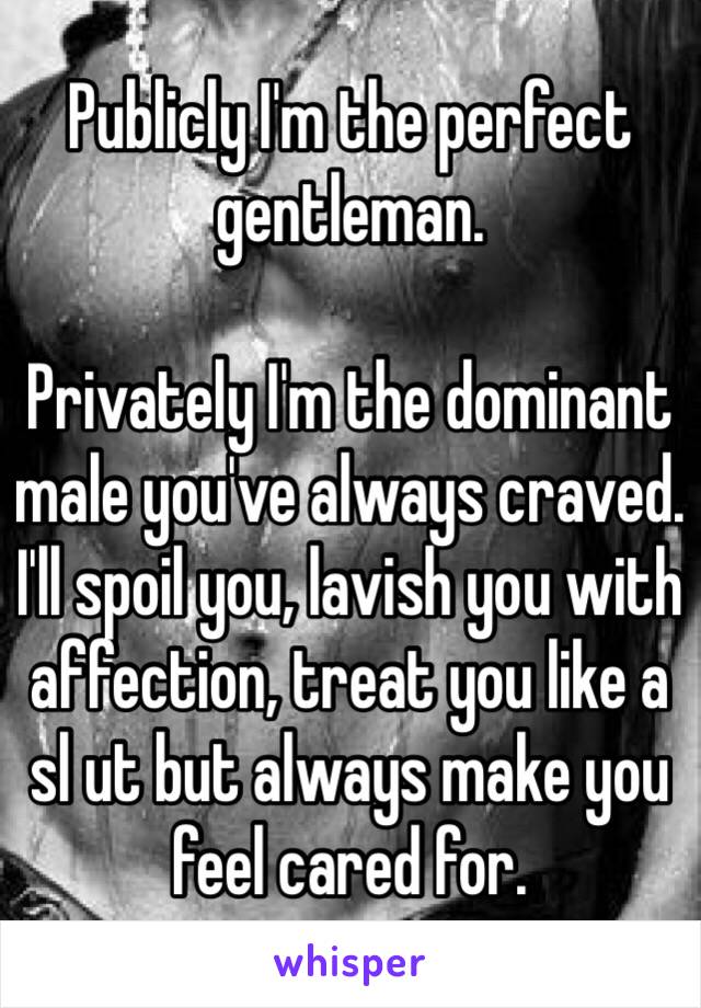 Publicly I'm the perfect gentleman. 

Privately I'm the dominant male you've always craved. I'll spoil you, lavish you with affection, treat you like a  sl ut but always make you feel cared for. 